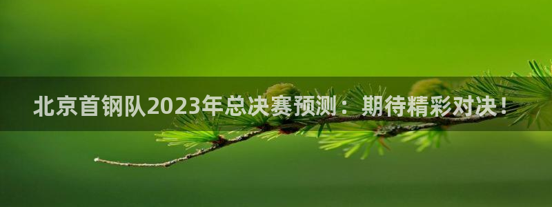 搜球吧零点吧nba直播