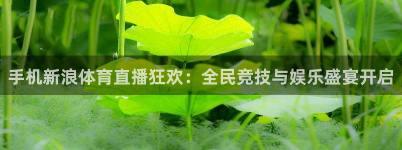 搜球体育下载：手机新浪体育直播狂欢：全民竞技与娱乐盛宴开启