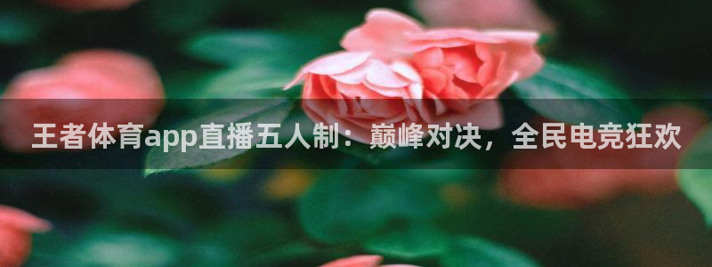 搜球吧在线直播nba：王者体育app直播五人制：巅峰对决，全民电竞狂欢