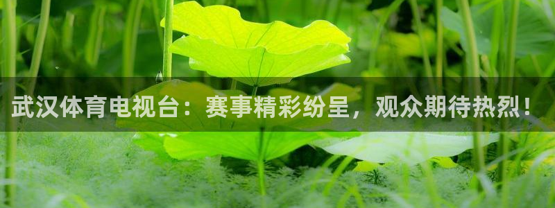 nba直播搜球吧：武汉体育电视台：赛事精彩纷呈，观众期待热烈！