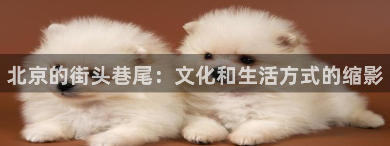 搜球体育：北京的街头巷尾：文化和生活方式的缩影