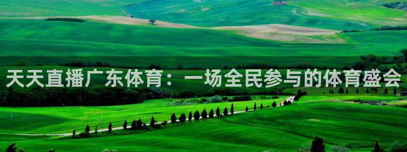 搜球吧在线直播nba：天天直播广东体育：一场全民参与的体育盛会